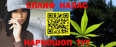 молекула духа Пугачёв