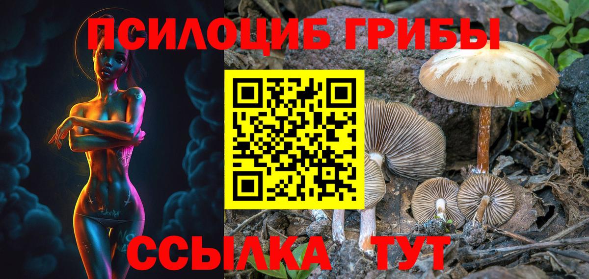 Псилоцибиновые грибы мухоморы  дарнет шоп  Пенза  Вход с VPN 