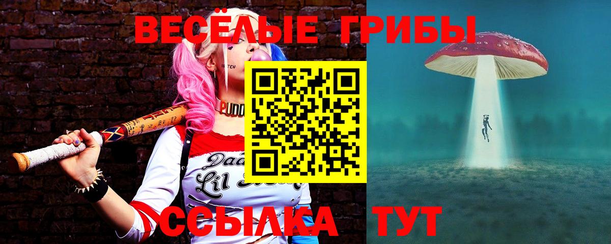 Галлюциногенные грибы MAGIC MUSHROOMS Пенза